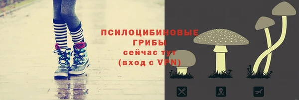 дживик Верхний Тагил