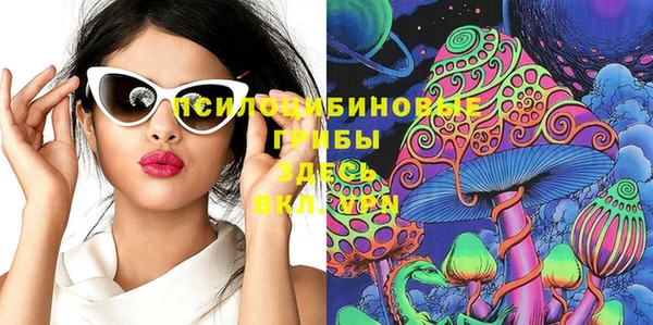 СК Верея