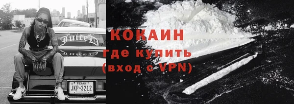 дживик Верхний Тагил
