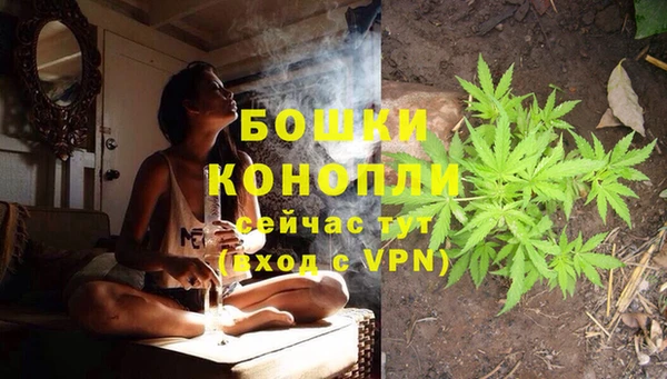 дживик Верхний Тагил